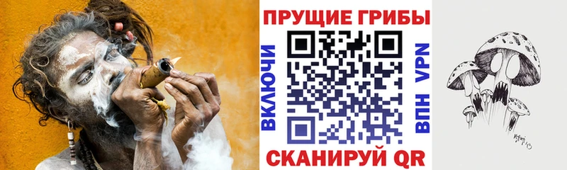 Псилоцибиновые грибы Psilocybe  Дно 